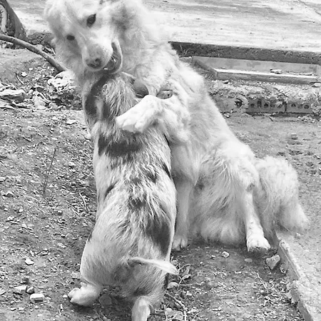 Fattoria Angolo Di Paradiso * Monte Argentario