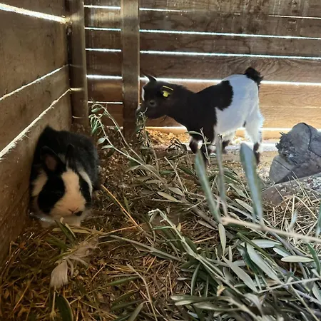 Fattoria Angolo Di Paradiso Villa Monte Argentario