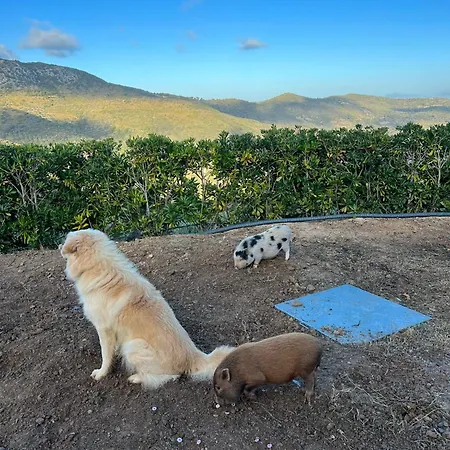 Fattoria Angolo Di Paradiso Villa *