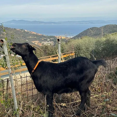 Fattoria Angolo Di Paradiso Monte Argentario