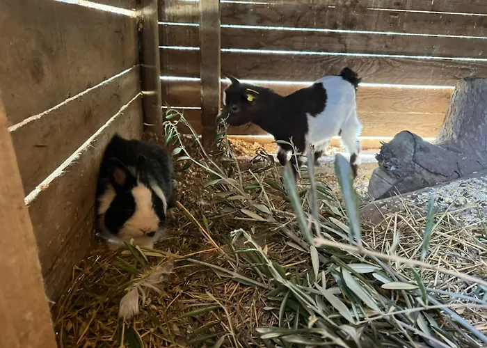 Fattoria Angolo Di Paradiso Villa Monte Argentario