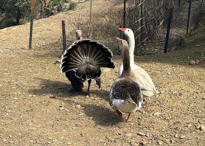 Fattoria Angolo Di Paradiso Villa Monte Argentario