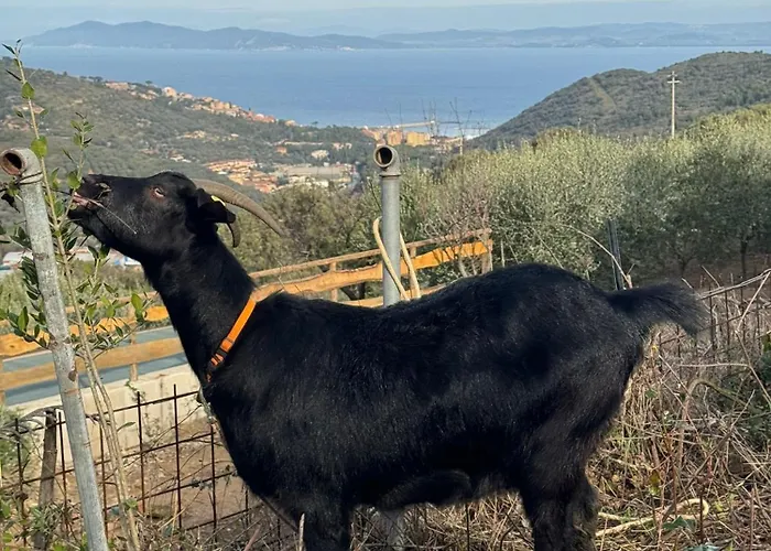 Fattoria Angolo Di Paradiso Monte Argentario