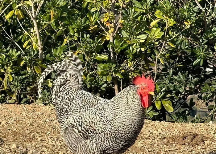 Fattoria Angolo Di Paradiso Villa