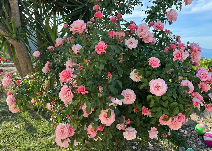 Fattoria Angolo Di Paradiso Villa